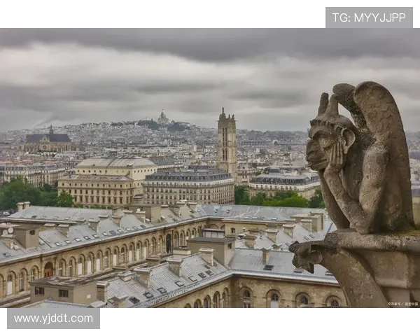 佛罗伦萨不会出售联系更紧密 佛罗伦萨不会出售联系更紧密